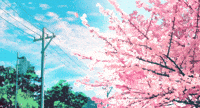 Aesthetic Cherry Blossom Background GIF