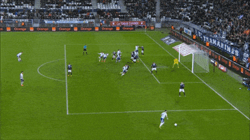 les gones ol GIF by Olympique Lyonnais