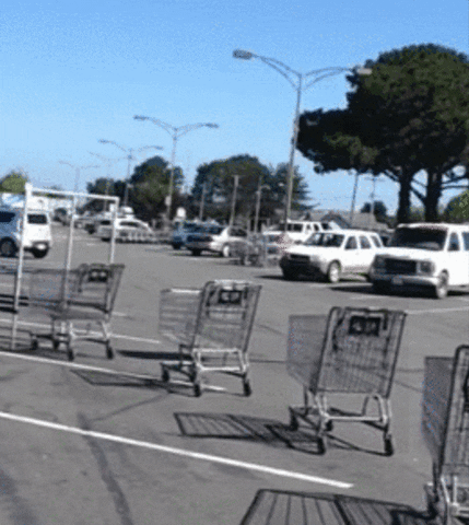 shopping carts GIF