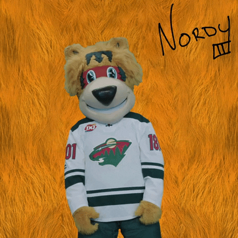 Minnesota Wild Thumbs Down GIF by Nordy Wild