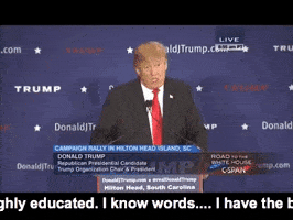 donald trump GIF