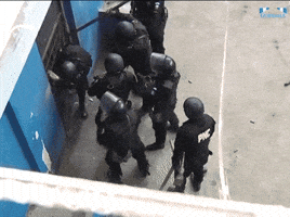juanmanuelvegal  GIF