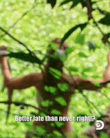 Naked And Afraid Hello GIF by Discovery