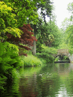 green landscape GIF