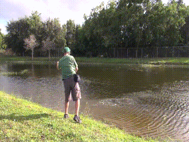 https://media2.giphy.com/media/13oBQQccMZmUsU/giphy.gif?cid=e1bb72ff5b7dd3556165423336bf57bf