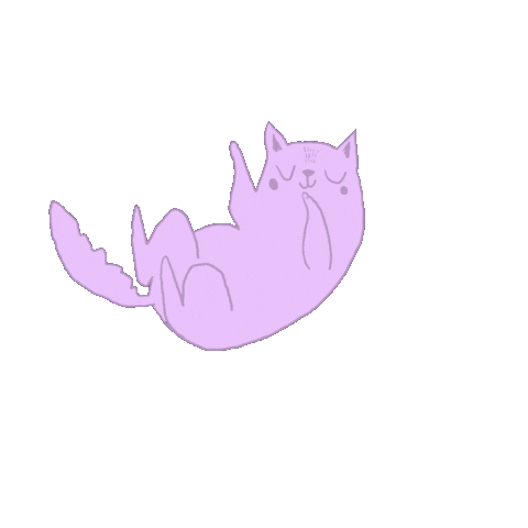 Cat Sticker