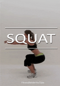 squat gif