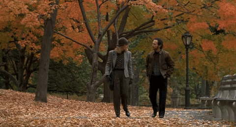  fall autumn leaves when harry met sally foliage GIF
