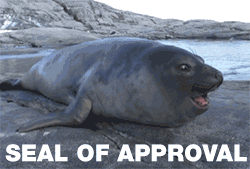 Wildlife gif. A seal looks around with its mouth wide open. Text, "Seal of approval."