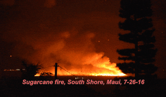 marywhisperingwind hawaii pollution maui alexander & baldwin GIF