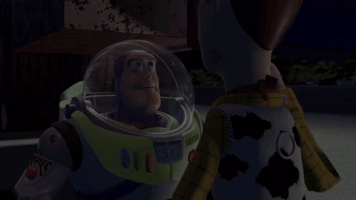 Toy Story Pity GIF