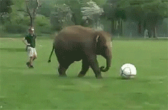 source.gif