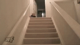 giphy.gif