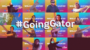 Uf Ufcoe GIF by University of Florida College of Education