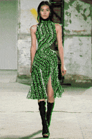 200.gif?cid=fc005b082b143758948855694fba28796adb8778ecb31c28&rid=200.gif&ct=g