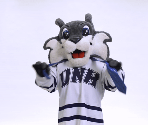 Mascot Unh GIF by University of New Hampshire - Find & Share on GIPHY