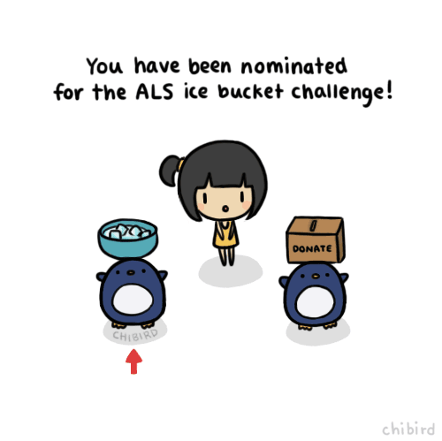 als ice bucket challenge