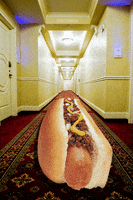 Hotdog Chili GIF