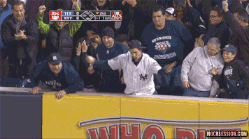 fans yankees GIF