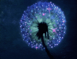 colorful color GIF