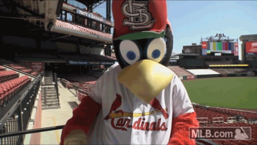 St Louis Cardinals Camera GIF by MLB - Find & Share on GIPHY