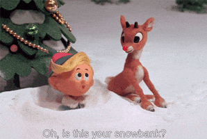 Rudolph The Red Nosed Reindeer Christmas GIF