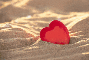 sandyw7514 valentines day ideas romantic things to do for valentines day sarasotasandy GIF