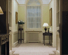 giphy.gif?cid=ecf05e47f86fe1a812037540e4