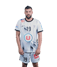 Angersscohandball Sticker