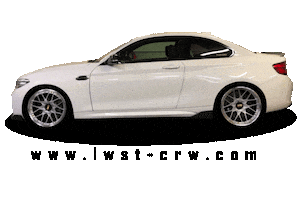 Bmw M Passion Sticker by lwst.crw_official