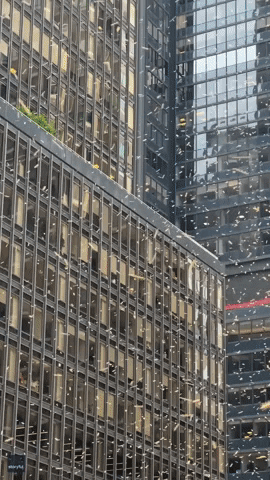 Times Square Nyc GIF by Storyful