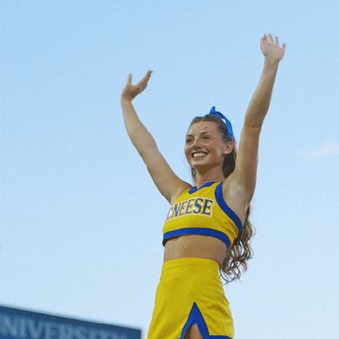 Football Sport GIF by McNeese State University