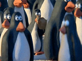 Scared Penguin GIF