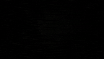 GIF by TheDiToroReport