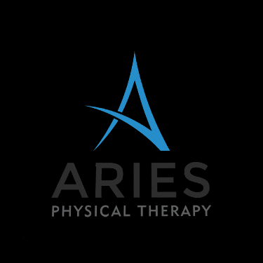 Aries Physical Therapy GIF