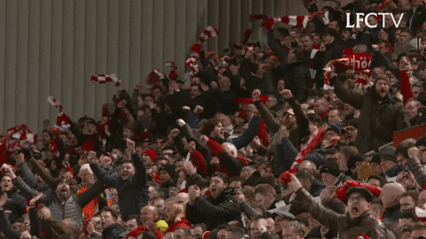 premier league fans GIF by Liverpool FC