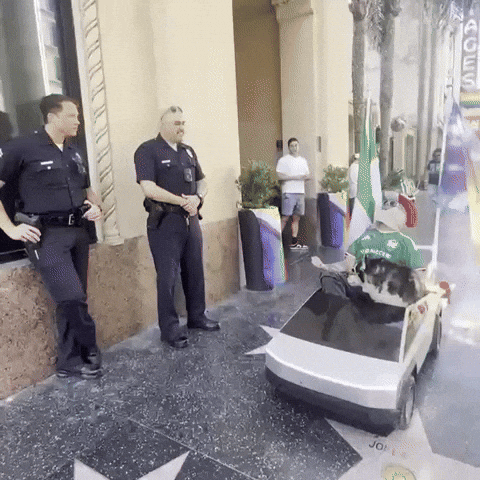 World Cup Mexico GIF by SWAGGY WOLFDOG