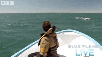 bbc one blue planet 2 GIF by BBC