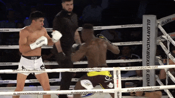 power punch GIF by GLORY Kickboxing