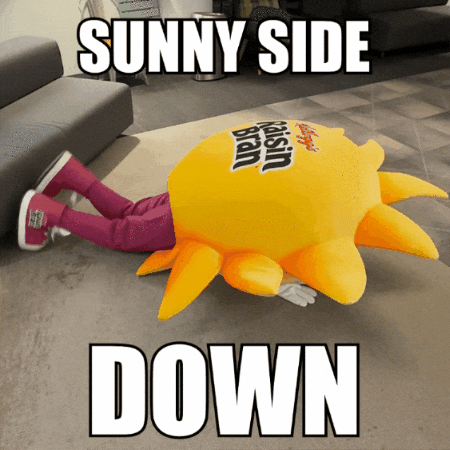 Sad Raisin Bran GIF by Kellogg's