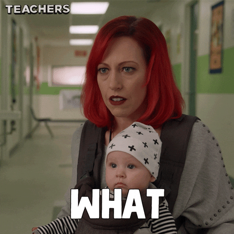 tv land what GIF by Teachers on TV Land