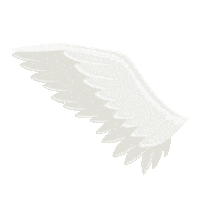 photo Transparent Black Wings Gif giphy