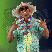 vacation vacay GIF by Gwinnett Stripers