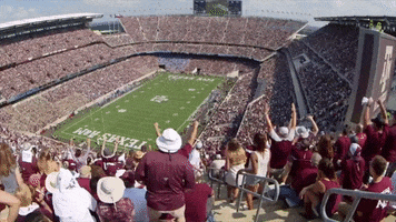 Celebrating College Football GIF by Texas A&M University