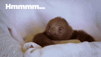 Sloth Reaction GIF by MOODMAN