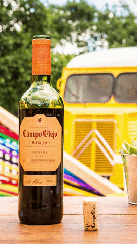 party summer GIF by Campo Viejo UK