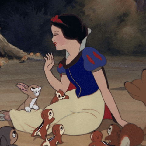 Snow White Hello GIF by Disney Princess - Find & Share on GIPHY