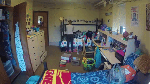 Movein Day GIFs - Get the best GIF on GIPHY