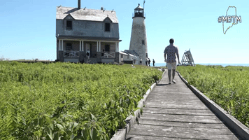 Wood Island Light Mbtm GIF