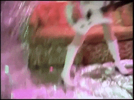 sonic youth 90s GIF
